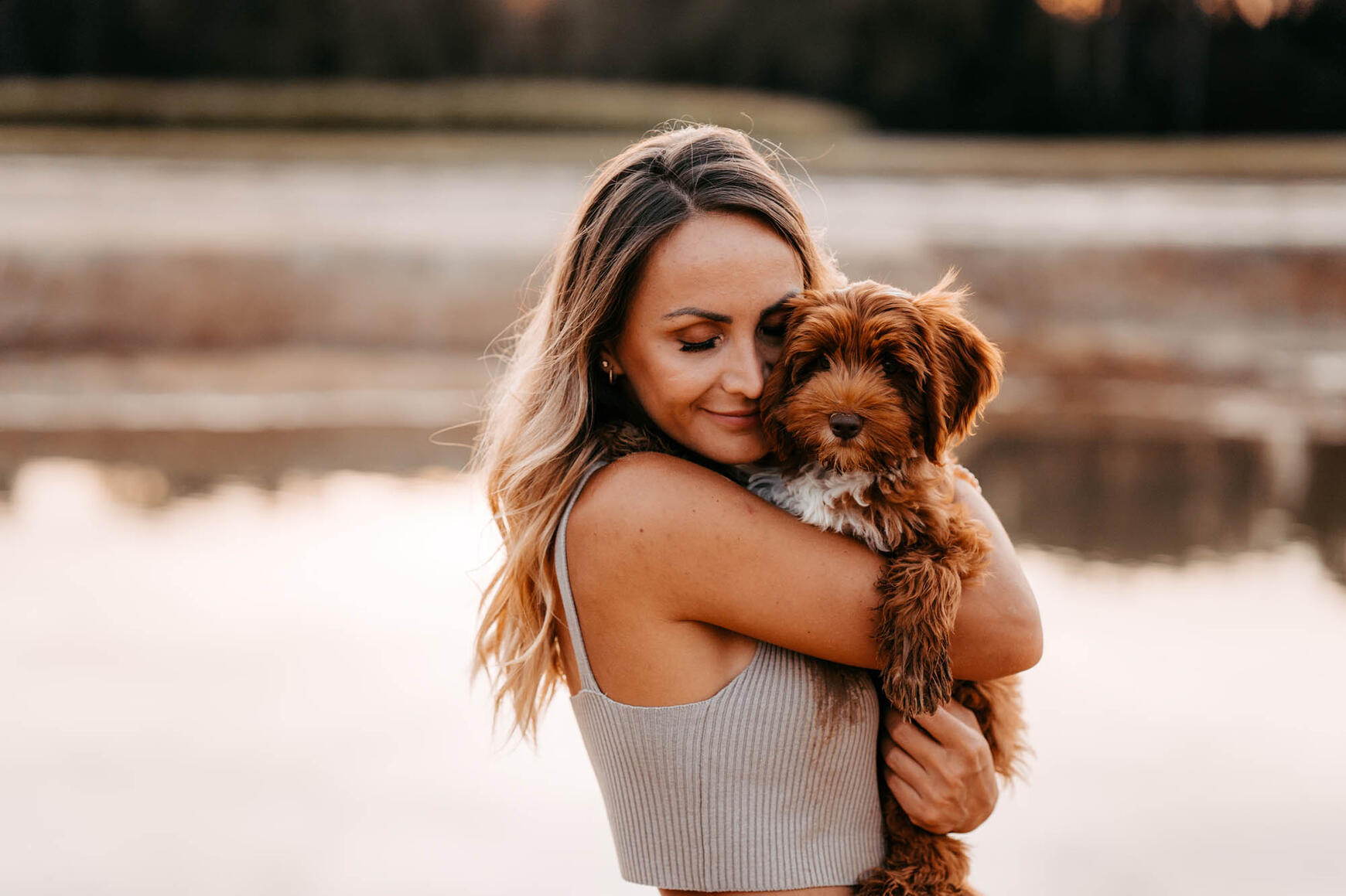 Australian Labradoodle Welpe in Bayern